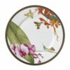 Home & Furniture * | Wedgwood Hummingbird Plate (20.5Cm) Multi Plates